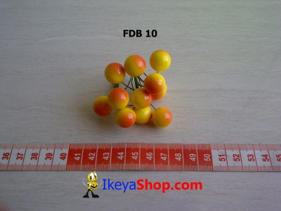 FDB 10  large2